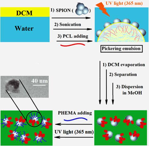 Preparation Of Janustype Superparamagnetic Iron Oxide Nanoparticles