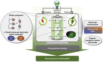 A Perspective On Organic Electrode Materials And Technologies For Next