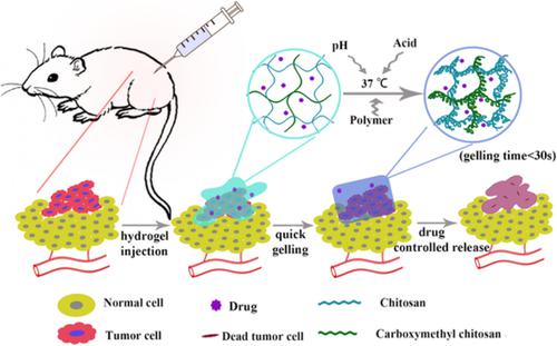 Application Of A Novel Thermosensitive Injectable Hydrogel In Therapy