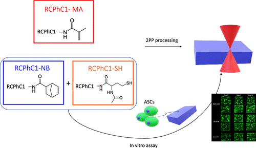 High Resolution D Bioprinting Of Photo Cross Linkable Recombinant