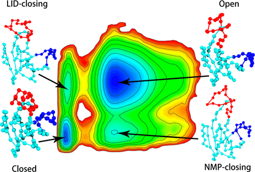 Double Well Ultra Coarse Grained Model To Describe Protein