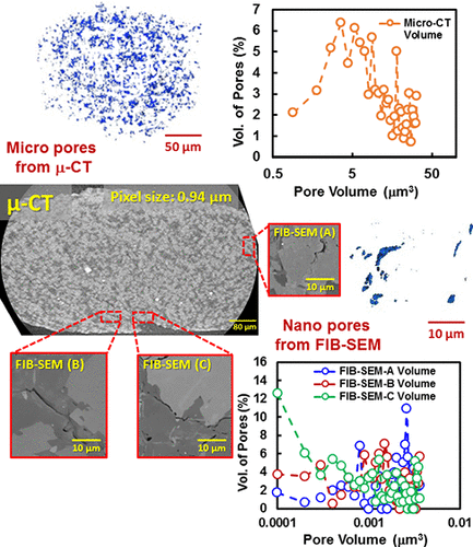 Micro and Nano Scale Pore Structure in Gas Shale Using Xμ CT and FIB