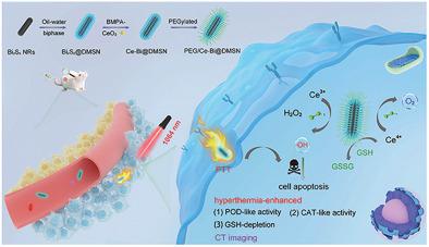 GSH Depleted Nanozymes With Hyperthermia Enhanced Dual Enzyme Mimic