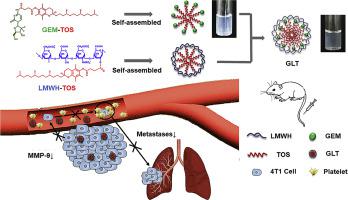 通过与抗转移壳LMWH TOS共同组装增强了GEM TOS前药的稳定性和功效 Acta Pharmaceutica Sinica B X MOL