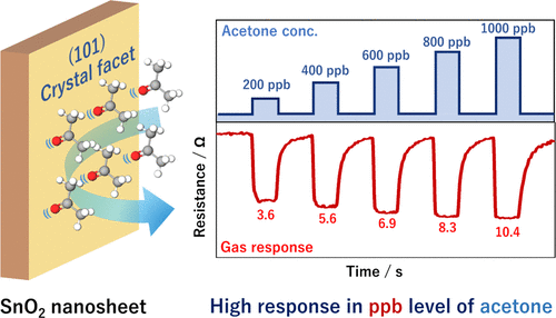 Catalyst Free Highly Sensitive SnO2 Nanosheet Gas Sensors For Parts Per