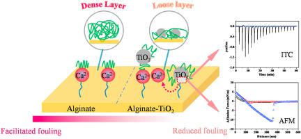 Combined Fouling Of Forward Osmosis Membrane By Alginate And TiO2