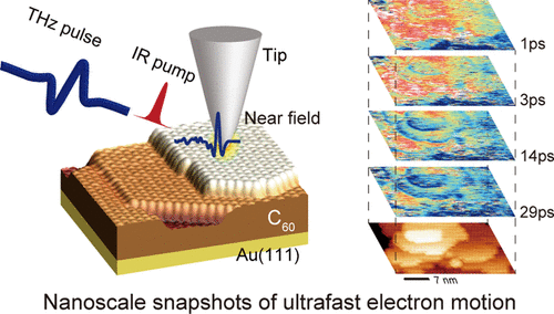 Terahertz Scanning Tunneling Microscopy For Visualizing Ultrafast