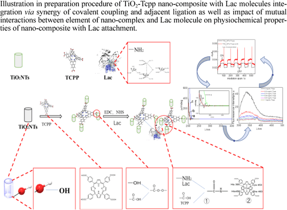 Direct Electrochemistry And Photoelectro Catalysis On Oxygen Reduction