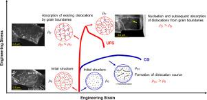 Mechanical Response Of Dislocation Interaction With Grain Boundary In