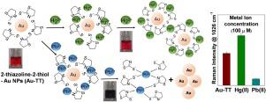 Thiazoline Thiol Functionalized Gold Nanoparticles For Detection Of