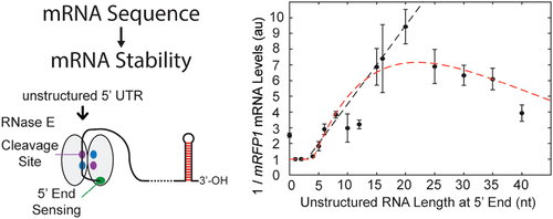 Systematic Quantification Of Sequence And Structural Determinants