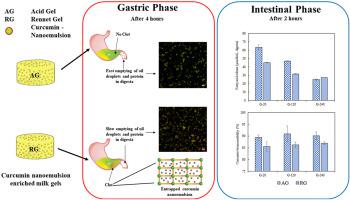 富集姜黄素 纳米乳液的乳蛋白基质的体外消化凝胶结构类型对姜黄素生物可及性的影响 Food Hydrocolloids X MOL