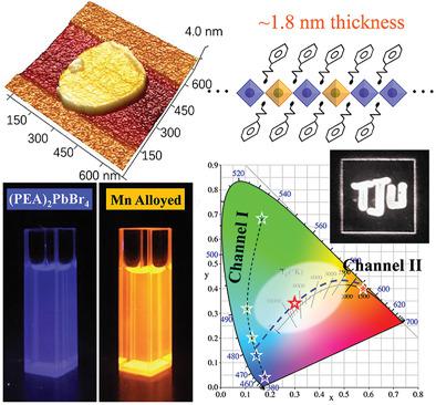 Ultrathin Monolayer Mn Alloyed D Perovskite Colloidal Quantum Wells