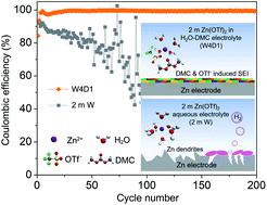 Non Concentrated Aqueous Electrolytes With Organic Solvent Additives