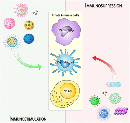 Stimulation And Suppression Of The Innate Immune System Through