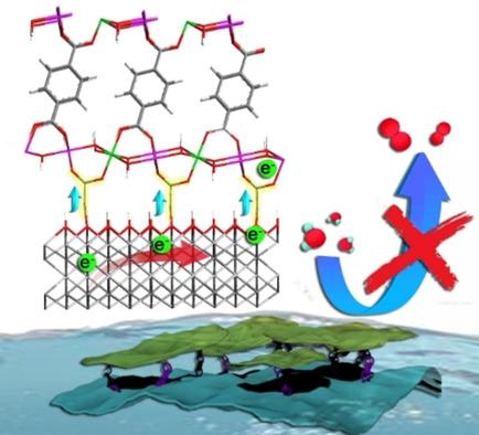 The Passive Effect Of MXene On Electrocatalysis A Case Of Ti3C2Tx CoNi