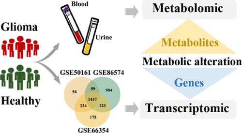 Integrative Analysis Of Metabolomic And Transcriptomic Data Reveals