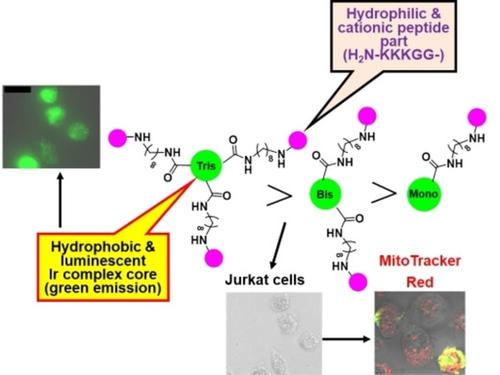 Synthesis And Anticancer Properties Of Bis And Mono Cationic Peptide