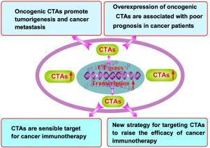 Oncogenic Cancer Testis Antigens Are A Hallmarker Of Cancer And A