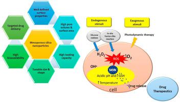 Ros Responsive Mesoporous Silica Nanoparticles For Smart Drug Delivery