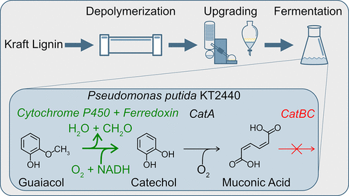 Kt Acs Sustainable Chemistry