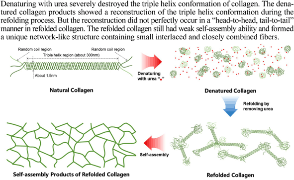 Macromolecular Research X Mol