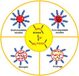 Recent Advances In Development Of Imine Based Acid Degradable Polymeric