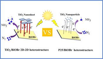 TiO2 BiOBr 2D 2D 异质结构通过原位方法增强可见光光催化 N2 固定 Applied Surface Science X MOL