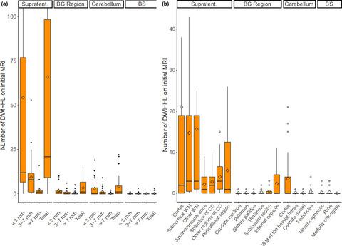 Brain Magnetic Resonance Imaging Lesion Load At Diagnosis Severity At