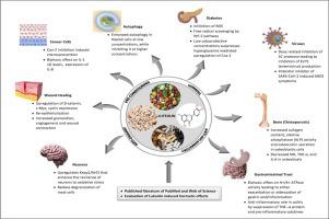 Mechanisms Of Ageing And Development X Mol