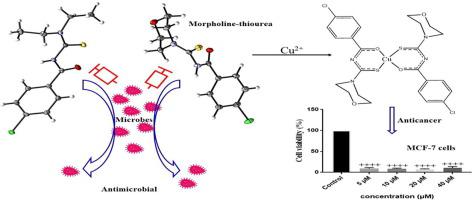 生物活性酰基硫脲及其 Ni II 和 Cu II 配合物结构光谱抗增殖溶核和抗菌研究 Inorganica Chimica