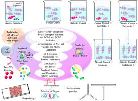 Journal Of Chemical Neuroanatomy X Mol