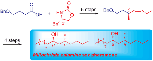 Enantioselective Synthesis Of The Sex Pheromone Of Lichen Moth