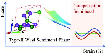 Noncentrosymmetric Weyl Phase And Topological Phase Transition In Bulk