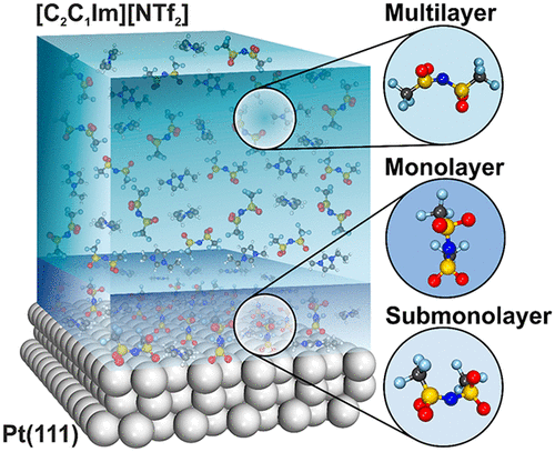 Adsorption Motifs And Molecular Orientation At The Ionic Liquid Noble