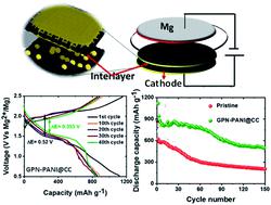 Mitigating Self Discharge And Improving The Performance Of Mgs Battery