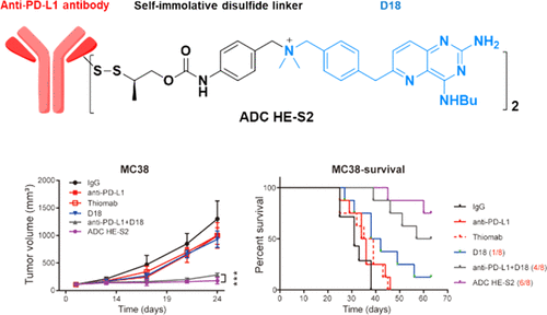 Immune Modulating Antibodydrug Conjugate Im Adc For Cancer