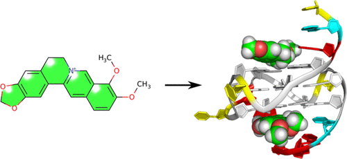 Berberine Molecular Recognition Of The Parallel Myc G Quadruplex In