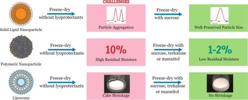 Impact Of Formulation On The Quality And Stability Of Freeze Dried