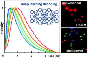 Multiplexed Structured Illumination Super Resolution Imaging With