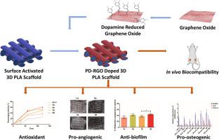 改性氧化石墨烯纳米板增强 3D 打印多功能骨组织工程支架 Biomaterials Advances X MOL