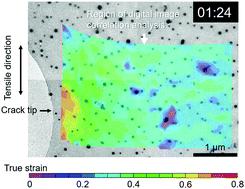 In Situ Transmission Electron Microscopy Observation Of The Deformation