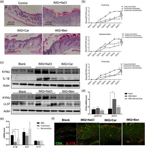 Journal Of Cellular Physiology X Mol