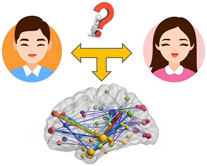 小脑和大脑的性别差异来自图卷积网络的证据 Interdisciplinary Sciences Computational Life