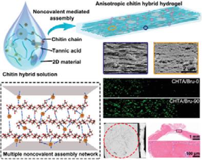 Anisotropic Hybrid Hydrogels Constructed Via The Noncovalent Assembly