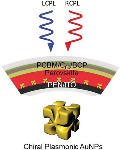 Ultrasensitive Near Infrared Circularly Polarized Light Detection Using