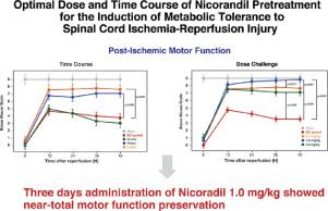 Optimizing Nicorandil For Spinal Cord Protection In A Murine Model Of