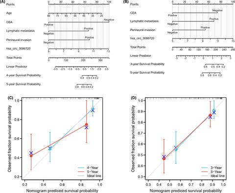 hsa circ 0086720在胃癌中的生物学和临床意义及其临床应用 Journal of Clinical Laboratory