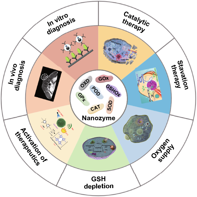 Nanozymes Versatile Platforms For Cancer Diagnosis And Therapy Nano