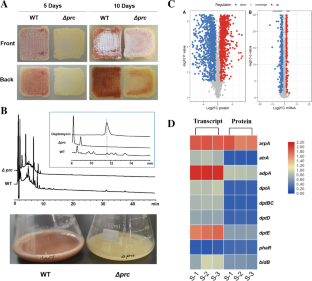 A Novel Strategy Of Gene Screen Based On Multi Omics In Streptomyces